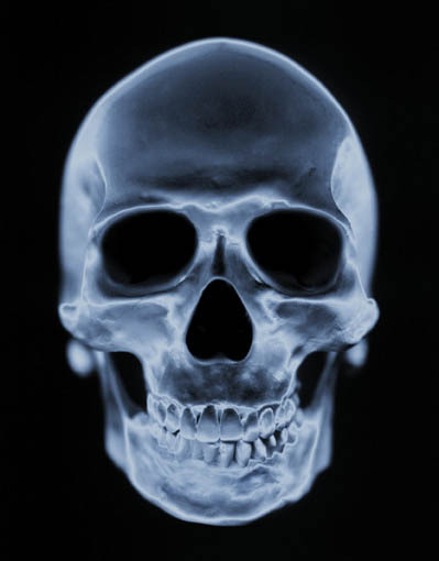 skull_and_bones_0154